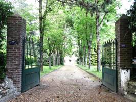 Didier FAES - DIDIER FAES