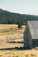 Maud CACHOT - CACHOT MAUD